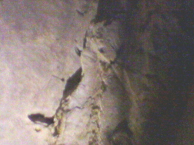 pestera unguru mare 34 - suncuius 2011