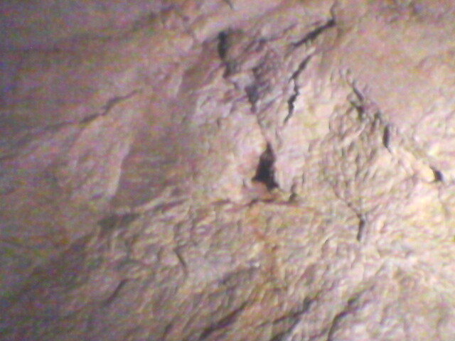 pestera unguru mare 36 - suncuius 2011