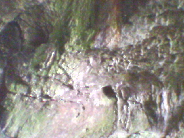 pestera unguru mare 43 - suncuius 2011