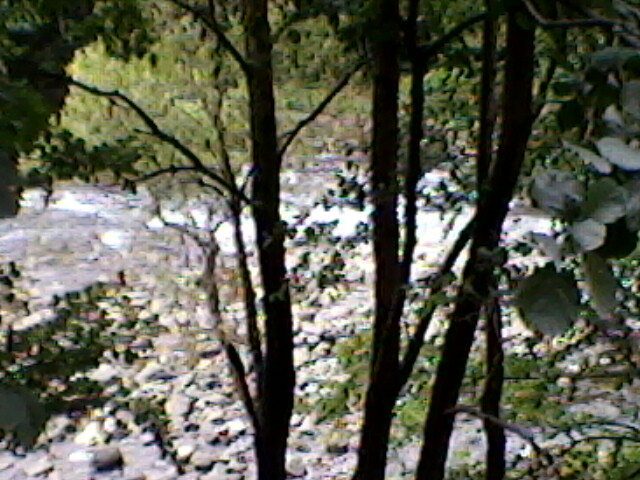 crisul repede la suncuius 8 - suncuius 2011