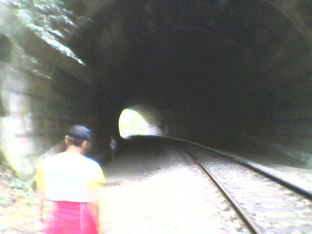 tunelul pestera - vadu crisului 2011