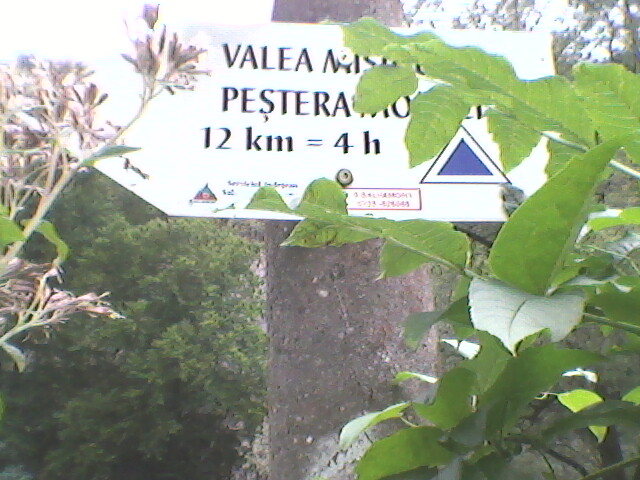 trasee marcate indicator (1)