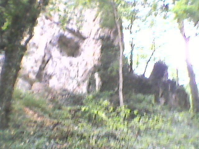 imprejurimile pesterii Vadu Crisului