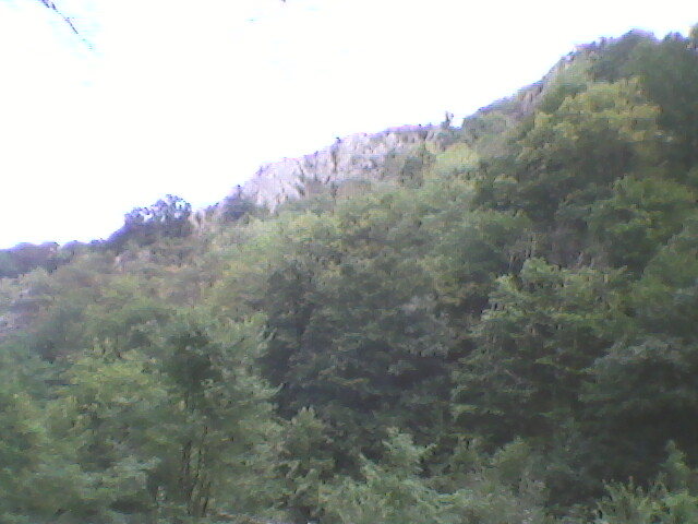 defileul crisului repede (7)