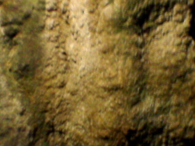 in pestera (1)