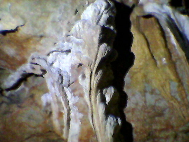 pestera Vadu Crisului - vadu crisului 2011