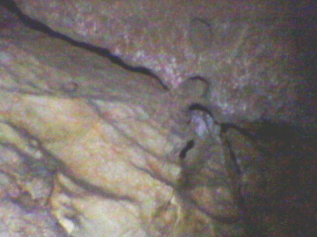 pestera Vadu Crisului (4)