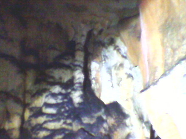 pestera Vadu Crisului (10)