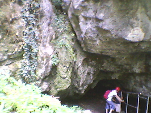 intrare in pestera vadu crisului