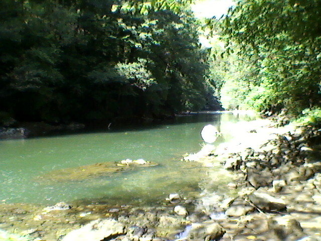 crisul repede langa vadu crisului 1