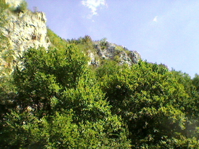 defileul crisului repede (16)