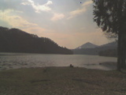 lacul firiza