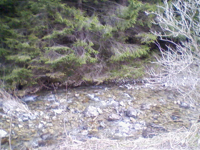 valea lupului 1 - lacul lesu