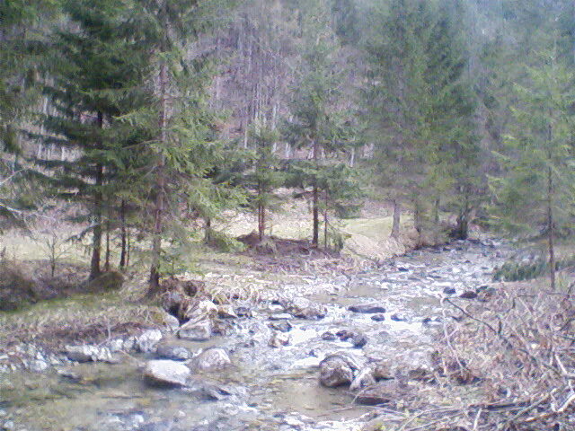 valea lupului 4 - lacul lesu