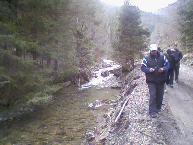 valea lupului 5