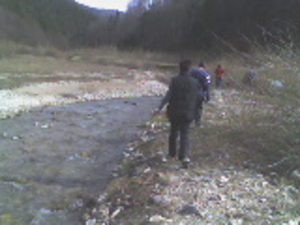 vale lupului spre lac