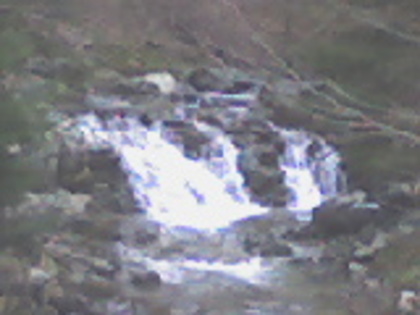 valea lupului 10