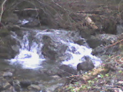 valea lupului 12