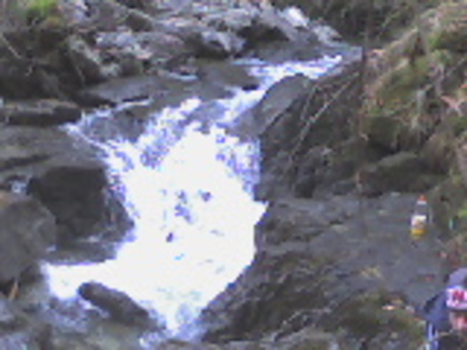 valea lupului 15