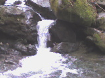 valea lupului 18