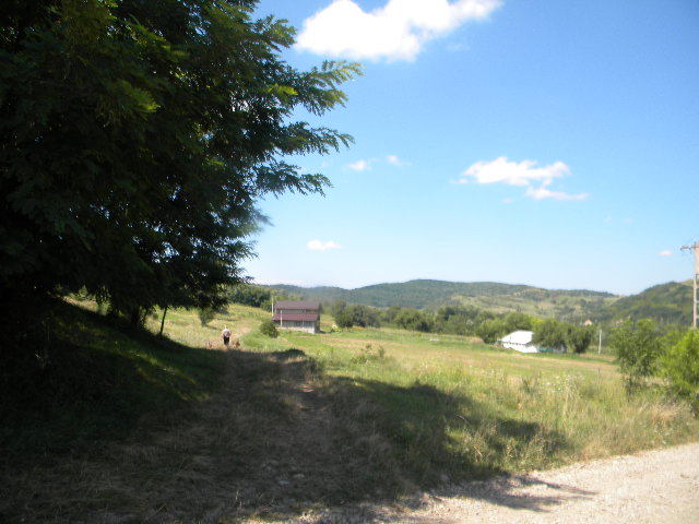 DSCN7575