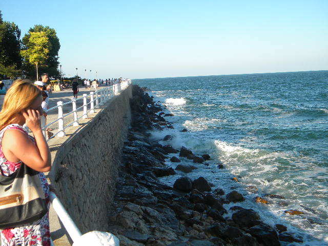 DSCN7620