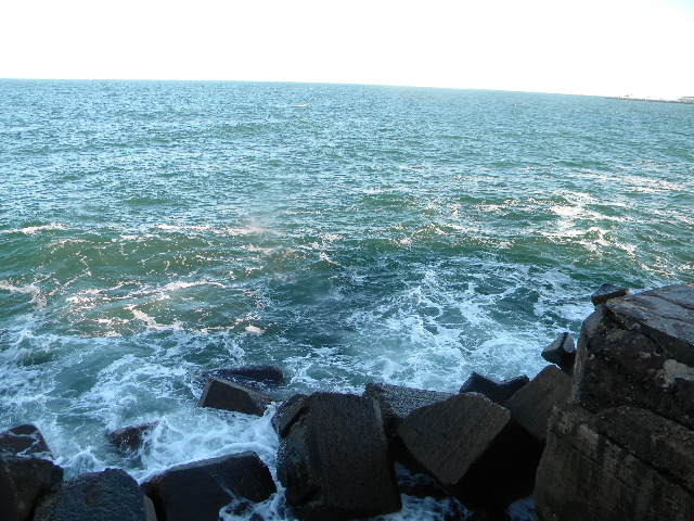 DSCN7628