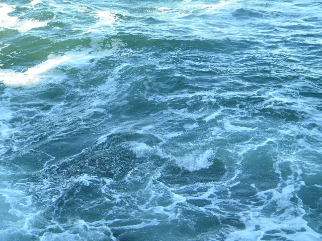 DSCN7632