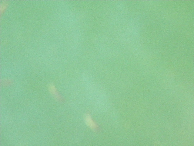 DSCN7644