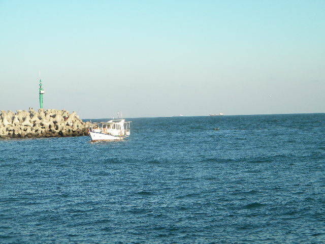 DSCN7654