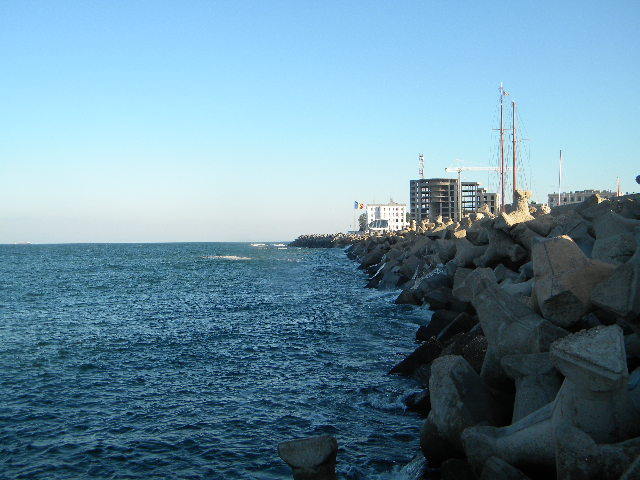 DSCN7655