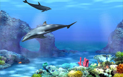 dolphinaw_400x250