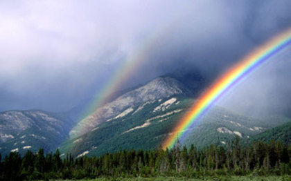 rainbow001_400x250 - o alta atentie