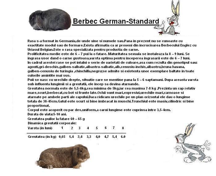 standard berbec german - iepuri