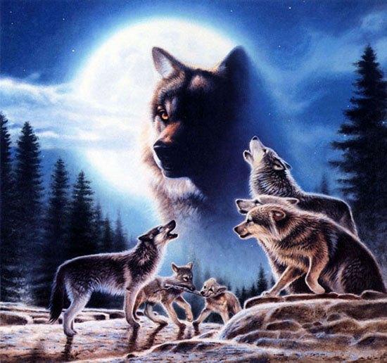 455976sz4ji5gej7 - POZE DESKTOP