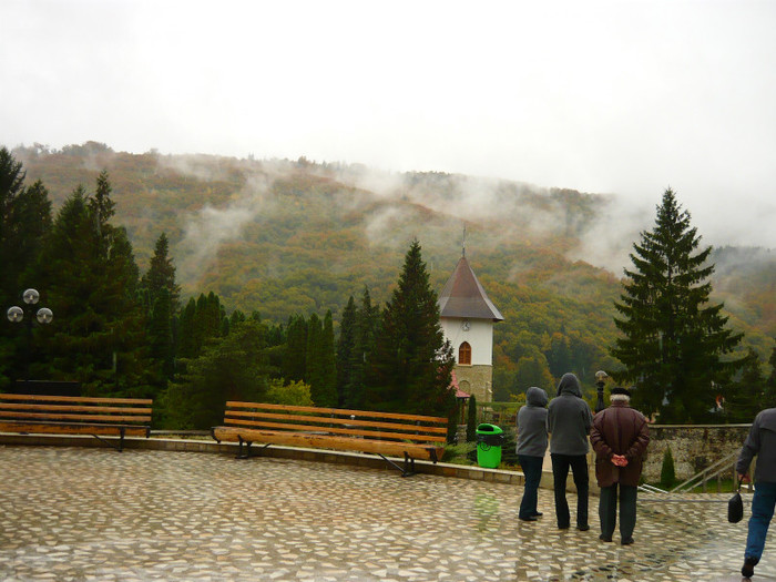 P1040424 - Baltatesti 2011