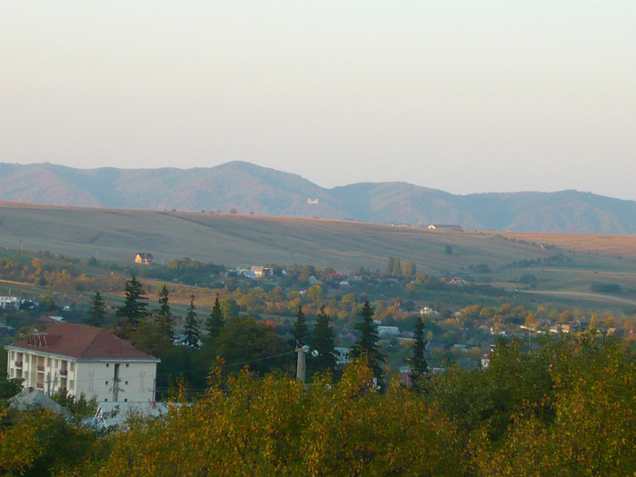 P1040429 - Baltatesti 2011