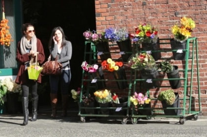 normal_013 - 13 10 2011 Buying Flowers in downtown Victoria Canada