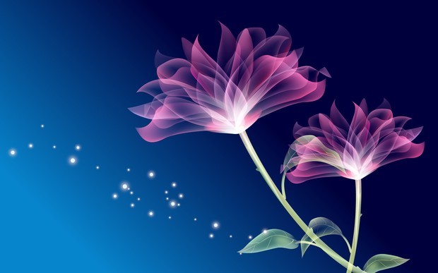 80_Abstract_Flowers_Design_Wallpapers_HD__1920x1200__www.HQPictures.tk-6.jpg_21_display - Barbatul ideal