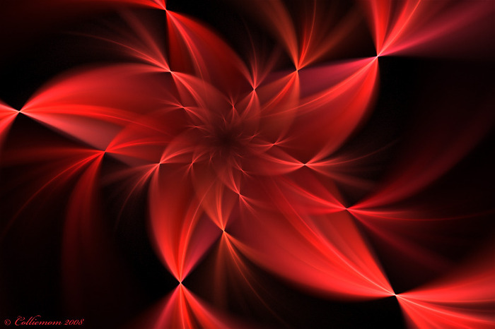 Red_Flower_Wallpaper_by_Colliemom - florile