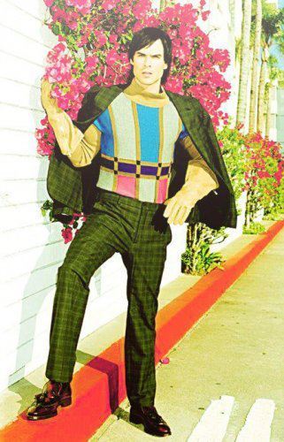 299045_223005171092433_138109149582036_633467_338207508_n - Ian Somerhalder