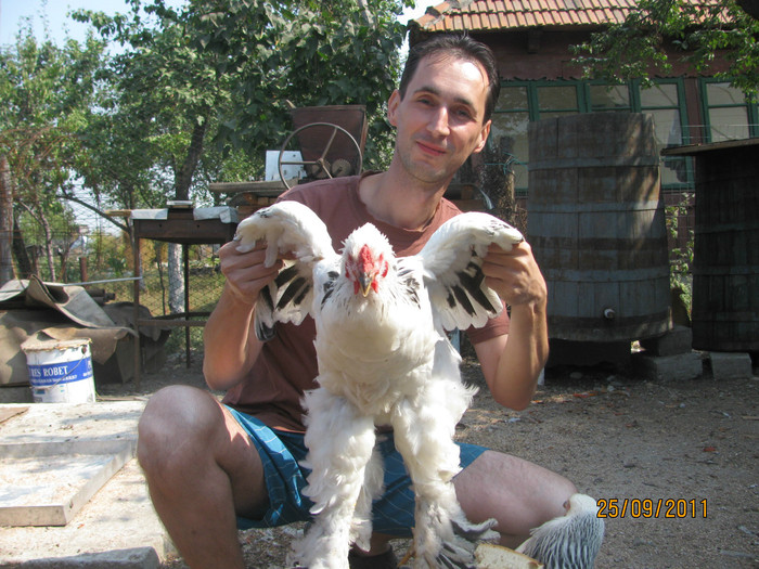 25.09.2011 - Pui si gaini 2011