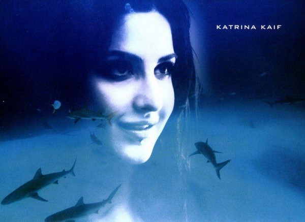 Katrina-Kaif-123210,276264,6