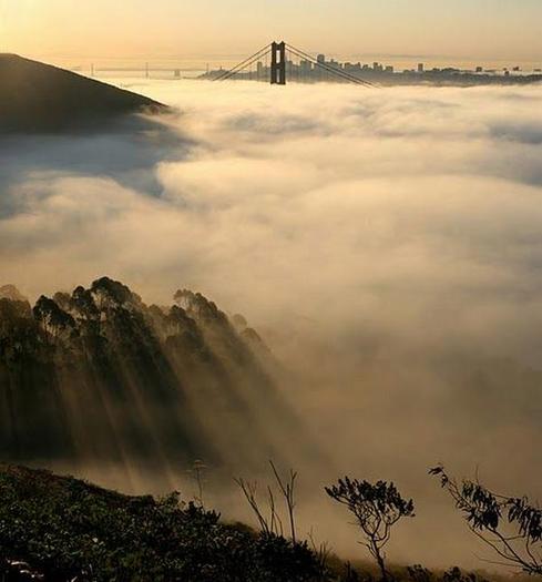 most-amazing-photos-ever16 - poze super