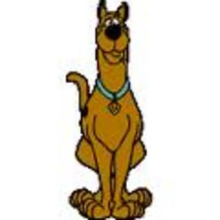 19 - Scooby Doo