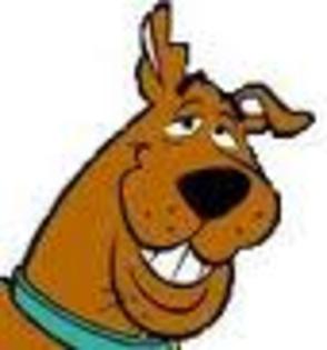 37 - Scooby Doo