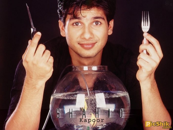 16 - Shahid Kapoor