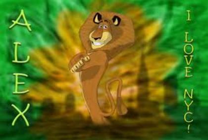 alex
