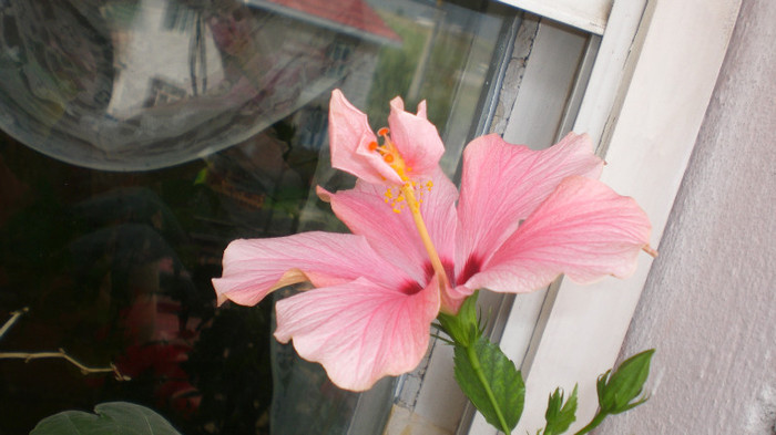 octombrie 2011 141