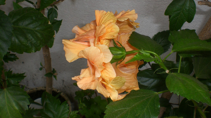 octombrie 2011 143